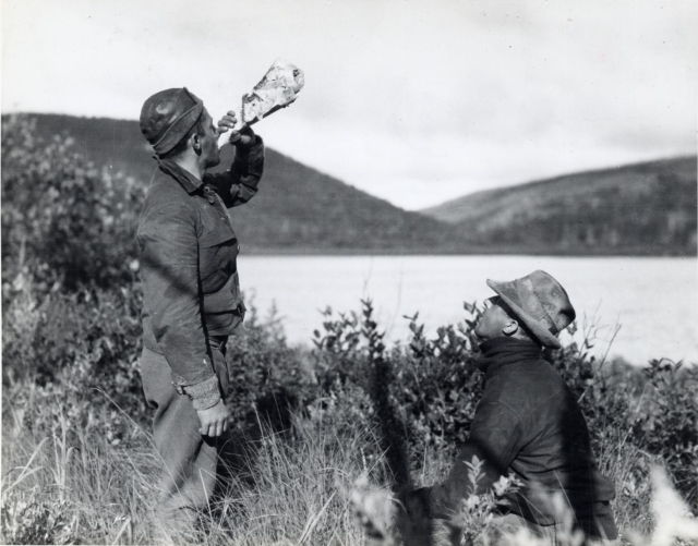Image Description